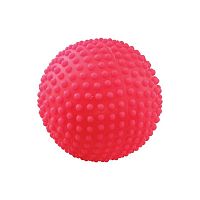 Игрушка для собак Мяч игольчатый №2, 65 мм (ЗООНИК)