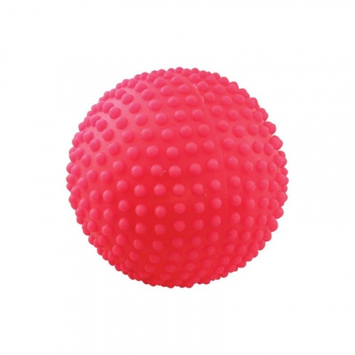 Игрушка для собак Мяч игольчатый №2, 65 мм (ЗООНИК)